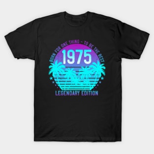 1975 Birthday 46th Vintage Aesthetic Sunset Palm 46 Year Old T-Shirt